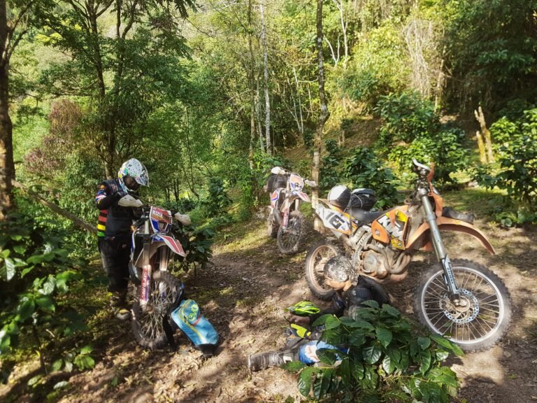 wp-16381413138028514380476477704333